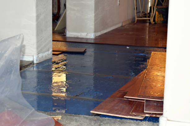 Professional Sewage Cleanup technician working in Altamont, IL